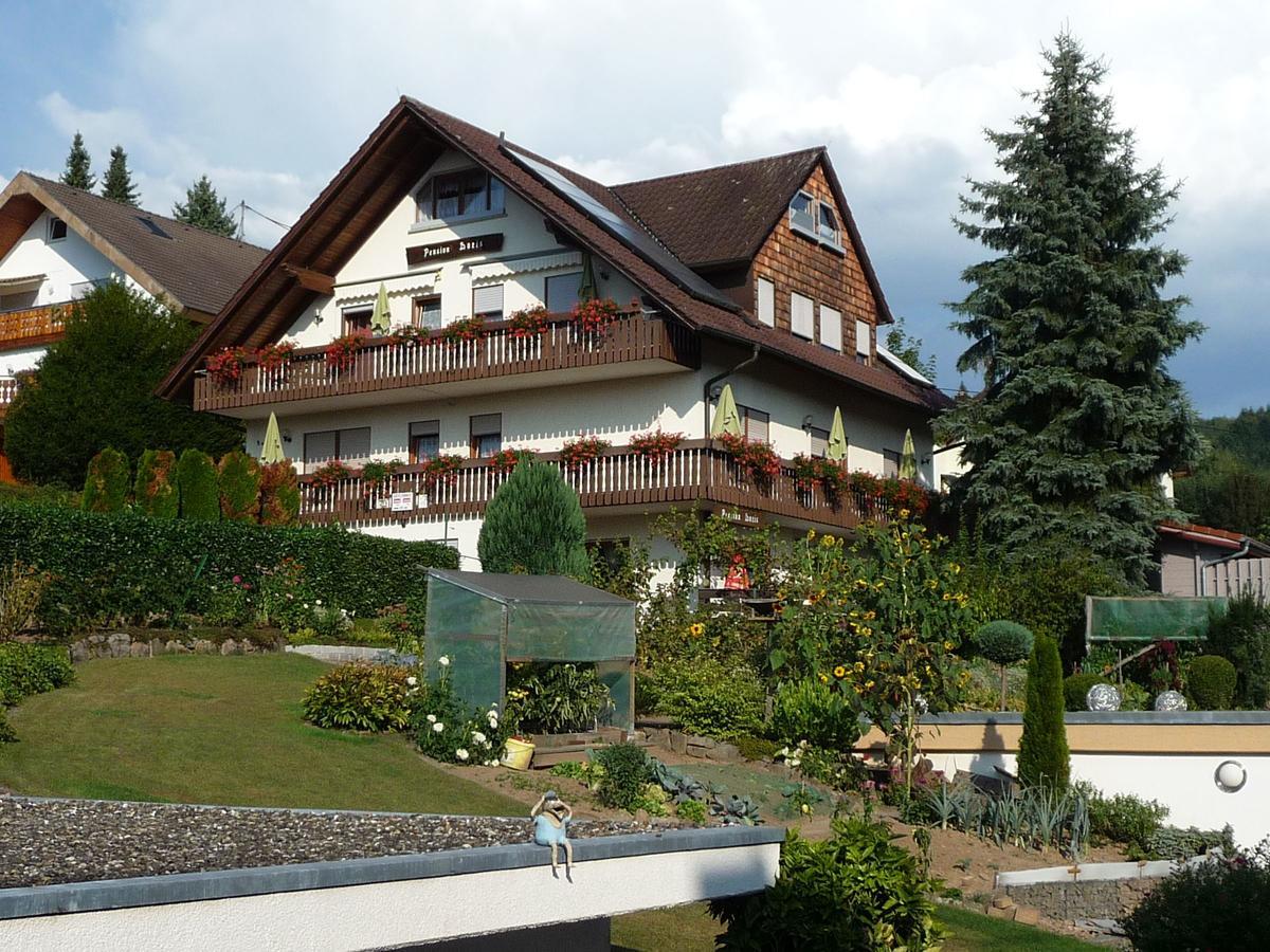 Pension Doris Ohlsbach Luaran gambar